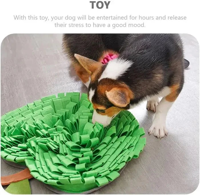 AppleForage - Dog Snuffle Mat