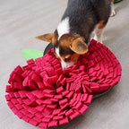 AppleForage - Dog Snuffle Mat