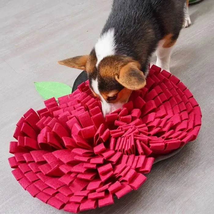 AppleForage - Dog Snuffle Mat