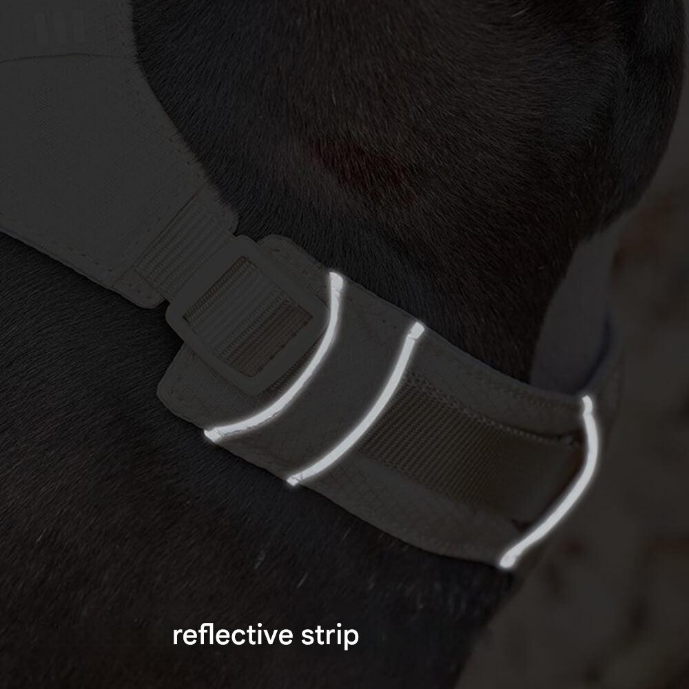 AquaCool - Anti-Pull Dog Harness with Multi-Functional Leash