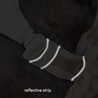 AquaCool - Anti-Pull Dog Harness with Multi-Functional Leash