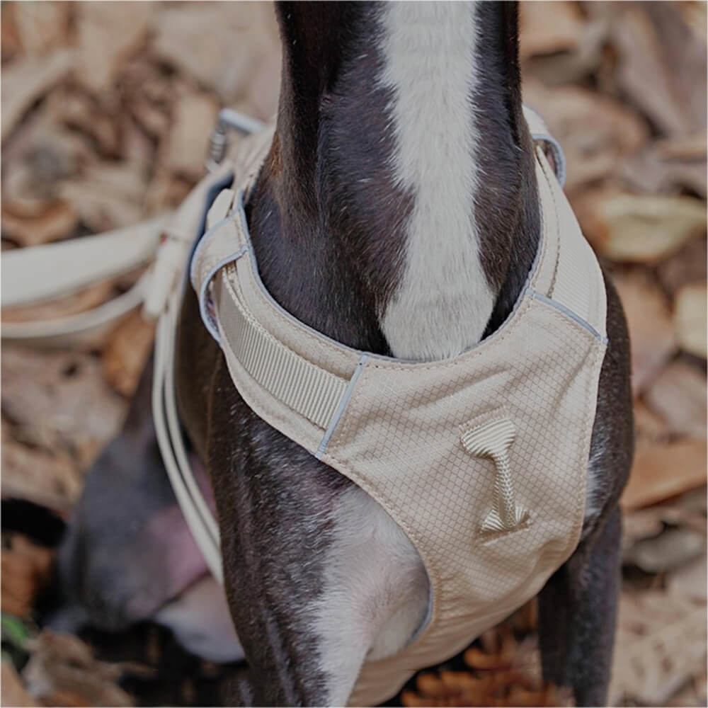 AquaCool - Anti-Pull Dog Harness with Multi-Functional Leash