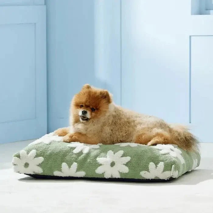 AquaRest - Waterproof Dog Bed for Indoor & Outdoor Comfort