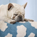 AquaRest - Waterproof Dog Bed for Indoor & Outdoor Comfort