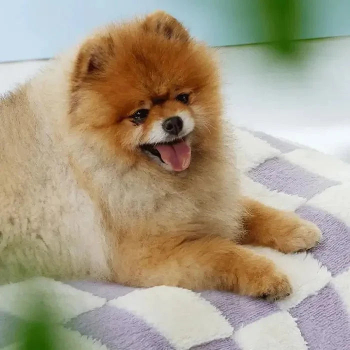 AquaRest - Waterproof Dog Bed for Indoor & Outdoor Comfort
