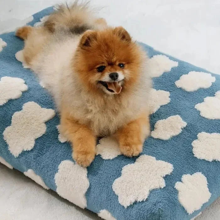 AquaRest - Waterproof Dog Bed for Indoor & Outdoor Comfort