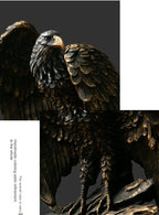 Aquila Bronze Eagle Sculpture
