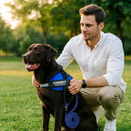Personalisable dog harness for comfort & safety