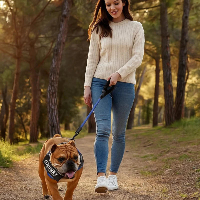 Personalisable dog harness for comfort & safety