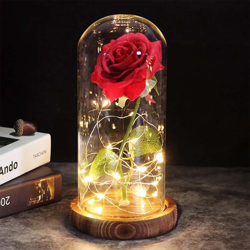 Aurora Rose Under Glass Dome