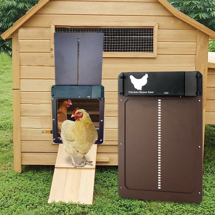 PRO+ | Automatic Chicken Flap
