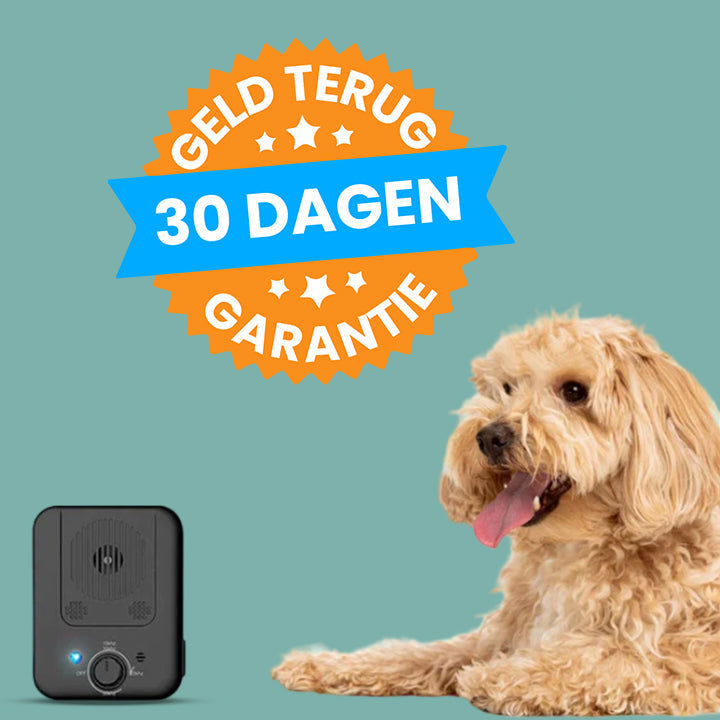 Automatic Bark Stopper - WoofControl