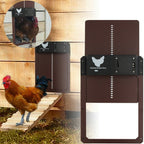PRO+ | Automatic Chicken Flap