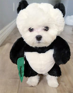 Pandaloon Dog and Pet Costume Set