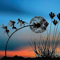 MagicGlow – Fairy-tale Garden Decoration for Outdoors