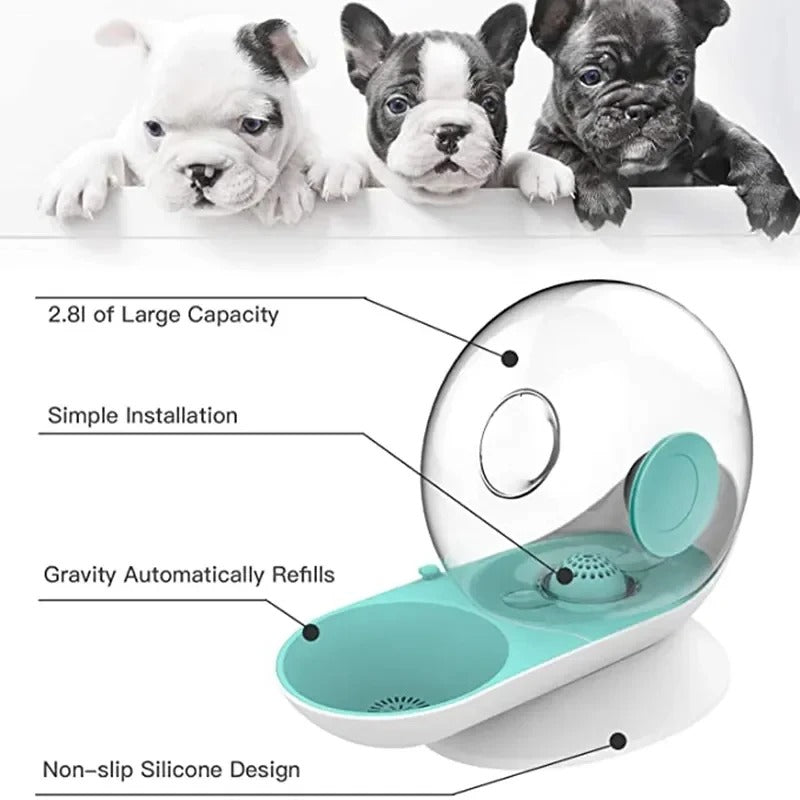 AquaPoes Fountain – Automatic Drinking Fountain for Cats and Dogs with Stainless Steel Reservoir