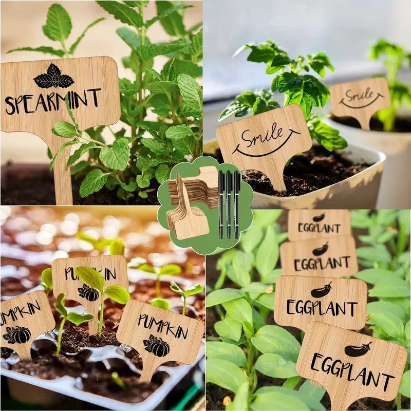 Plant labels made of wood for garden and balcony – Rewritable labels for herbs and plants