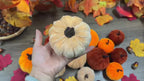 Autumn Decoration Pumpkin Set – 12 Pieces Artificial Pumpkins with Velvet Finish