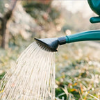 Watering can with large capacity and long spout for precise watering and plant care