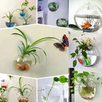 WonderGlass — Give your walls a fresh kick for a vibrant home without effort