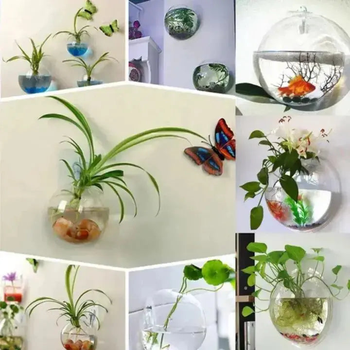 WonderGlass — Give your walls a fresh kick for a vibrant home without effort
