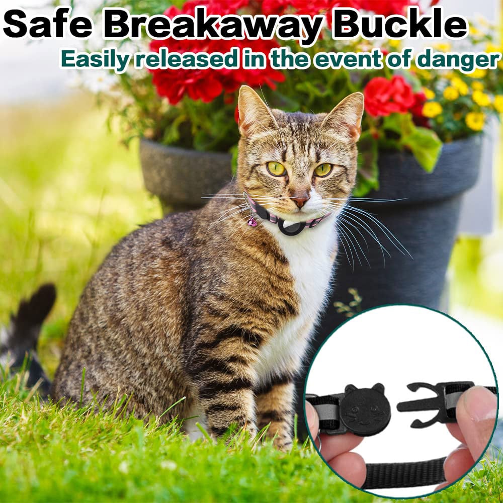 Stay Connected: pet locator collar