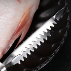 Stainless Steel Fish Scales Remover