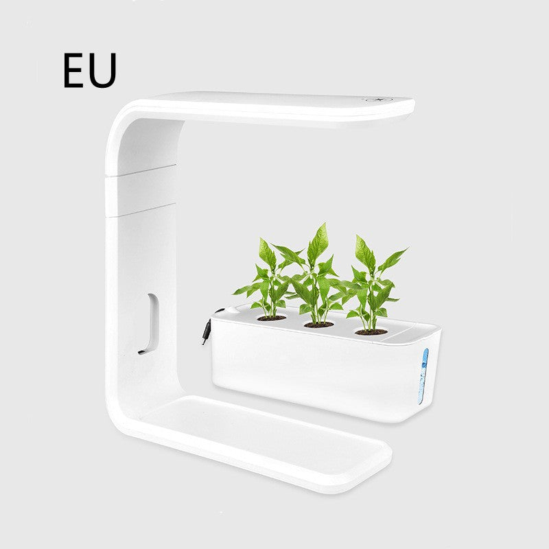 Slim Hydroponic Plant System for Indoor - GreenBloom Hydro