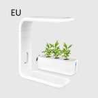 Slim Hydroponic Plant System for Indoor - GreenBloom Hydro