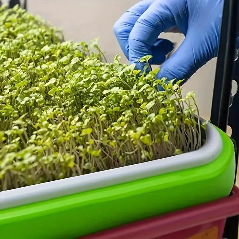 Germination trays with lid – Double-layer seed sowing tray for effective seed germination