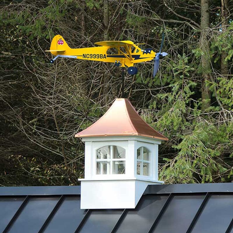 Weather vane for flying