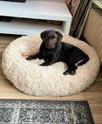 Large Orthopedic Dog Bed with Ergonomic Support – Soft, Durable, Hypoallergenic Comfort for All Breeds