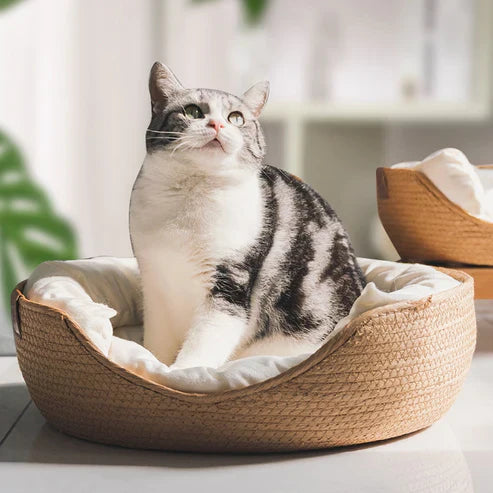 Bamboo Bed