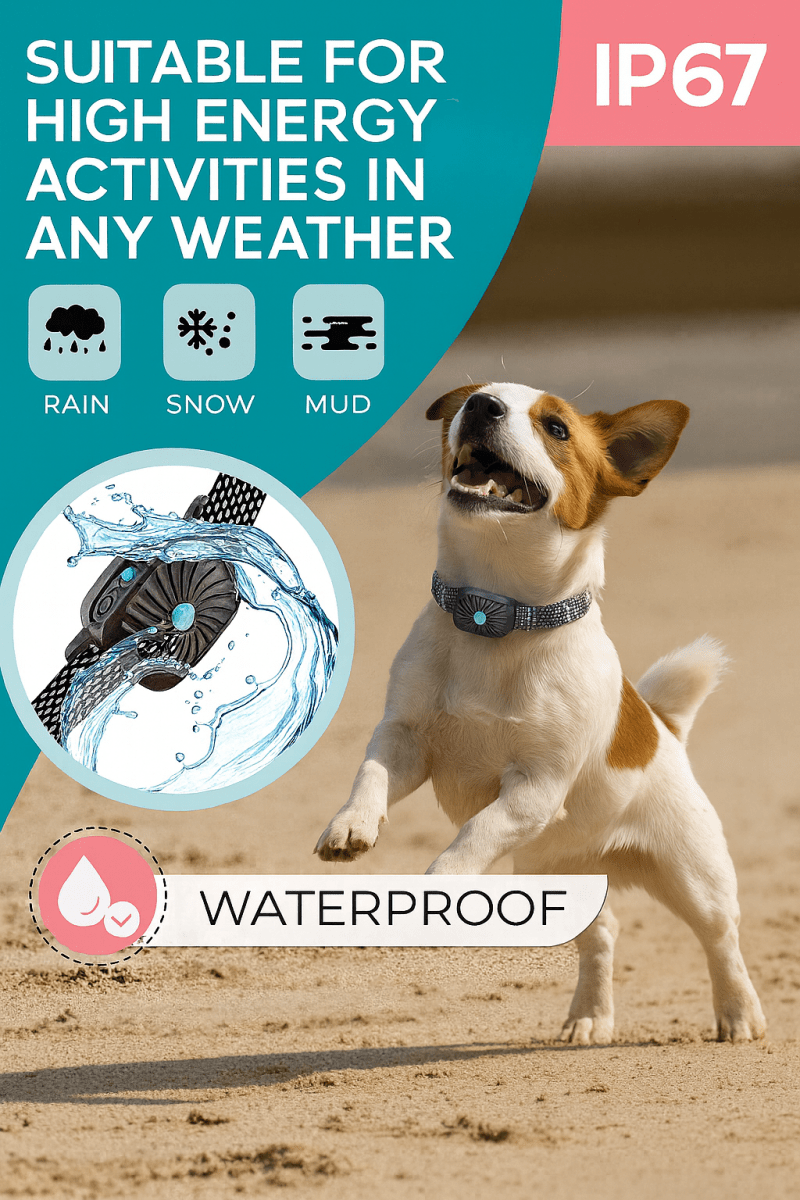 BarkLess Nano – Gentle Anti-Bark Collar for Puppies & Small Dogs