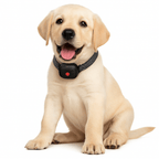 BarkLess Nano – Gentle Anti-Bark Collar for Puppies & Small Dogs