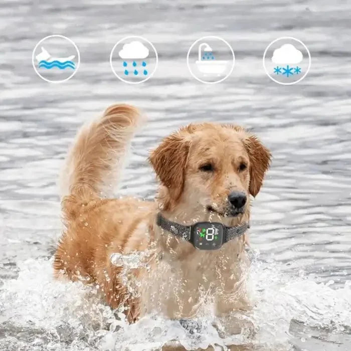 BarkPro - Touch Screen Dog Bark Collar