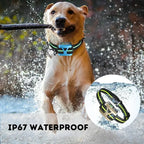 BarkSmart - Rechargeable Anti-Bark Collar