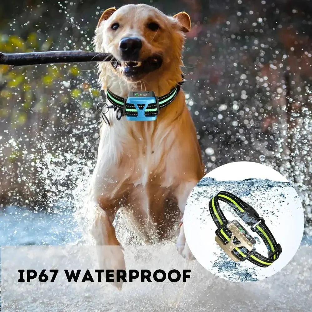BarkSmart - Rechargeable Anti-Bark Collar