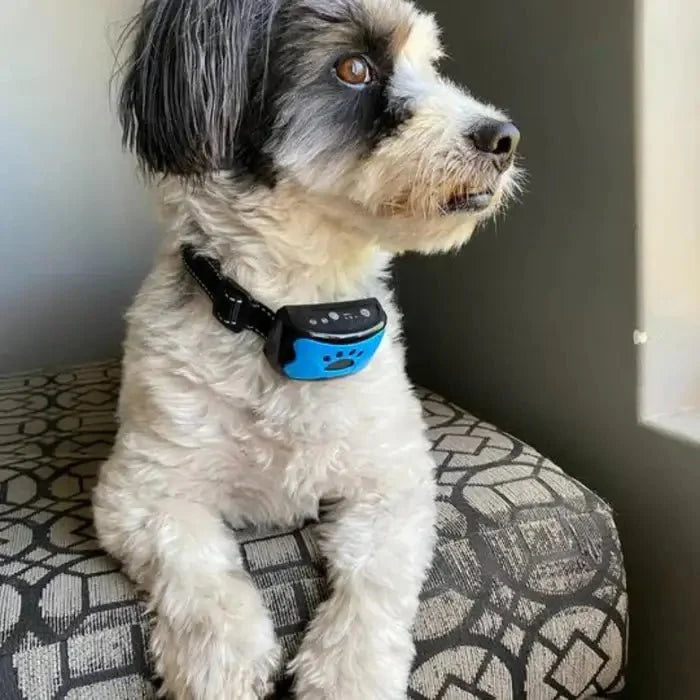 BarkTamer - Anti-Bark Collar