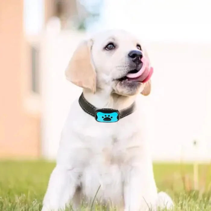 BarkTamer - Anti-Bark Collar