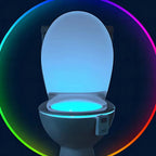 LED Motion Sensor Toilet Light