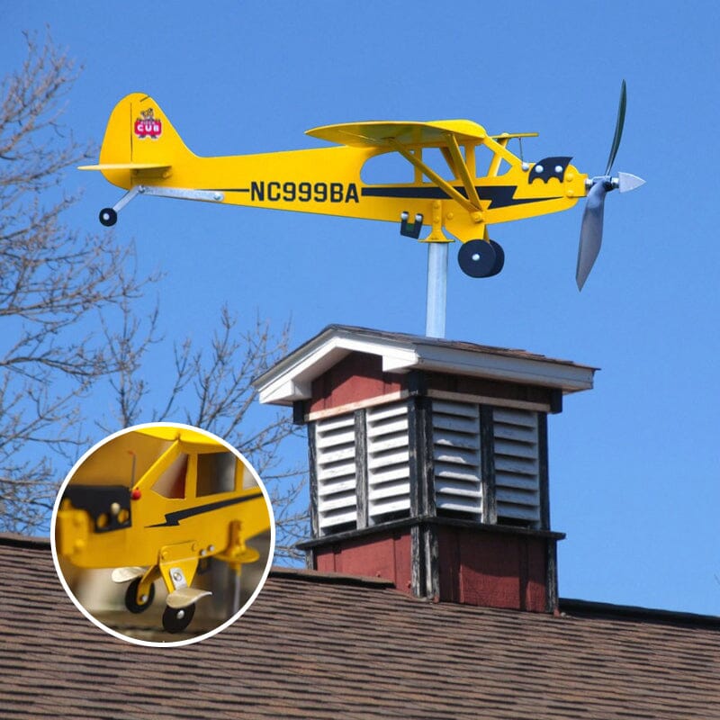 Weather vane for flying