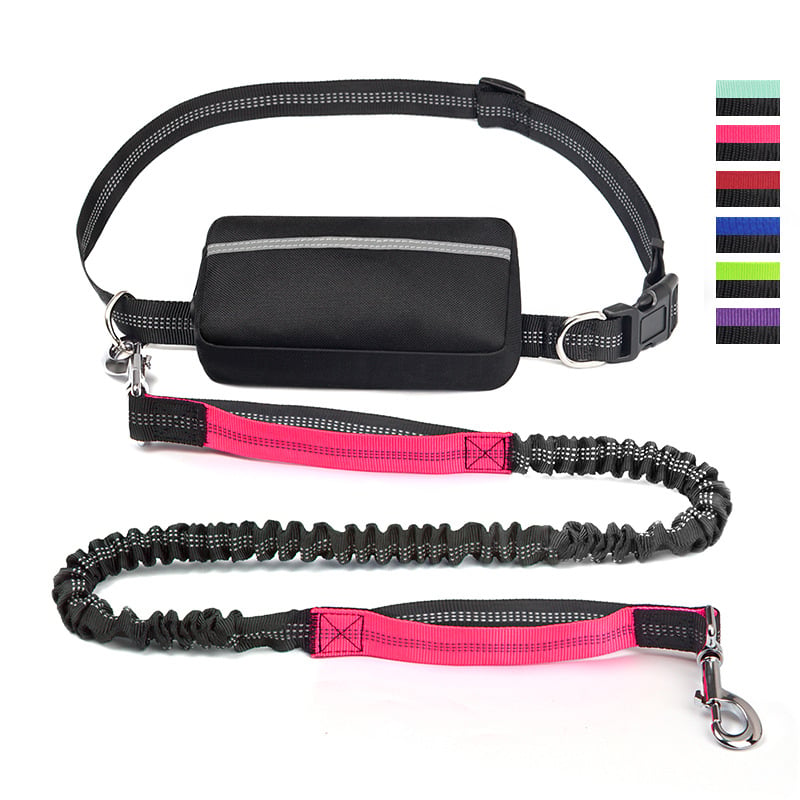 PawsFree Pro – Enjoy stress-free walks with your dog
