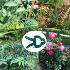Garden clip set – plant loops for plant supports and garden care