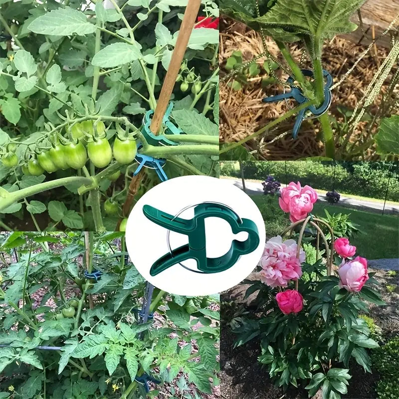 Garden clip set – plant loops for plant supports and garden care