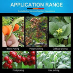 JardinZen | Awaken your gardening serenity