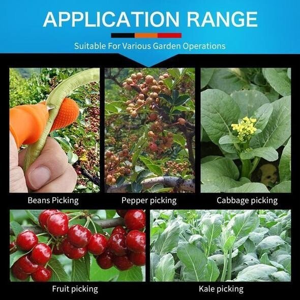 JardinZen | Awaken your gardening serenity