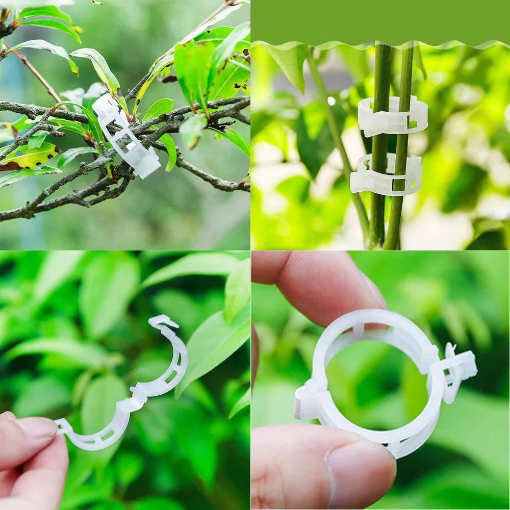 Plant support clip for climbing plants – Flexible holder for plant stems