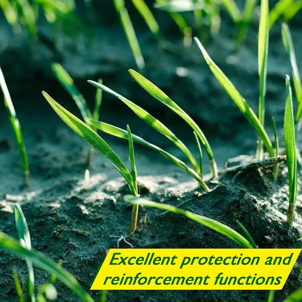 Biodegradable Netted Grass Seed Mat | All-in-One Growth System for Quick Germination in Sun, Shade & Slopes