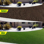 Biodegradable Netted Grass Seed Mat | All-in-One Growth System for Quick Germination in Sun, Shade & Slopes